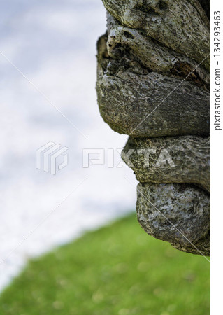 Sera Fuji Garden (58) 134293463