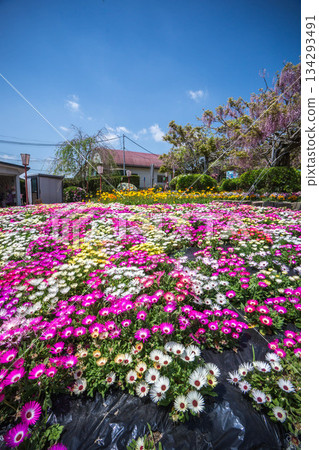 Sera Fuji Garden (71) 134293491