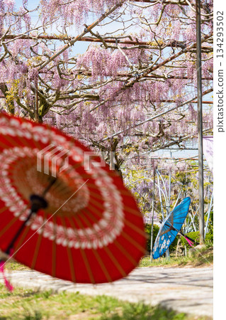 世羅富士花園(18) 世羅富士花園(18) 134293502