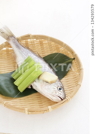 Preparing White Croaker Preparing White Croaker 134293579