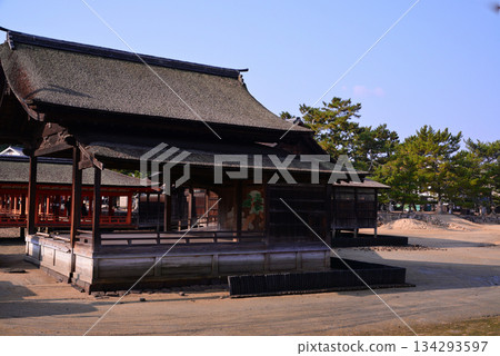 Aki的Miyajima /嚴島神社 134293597