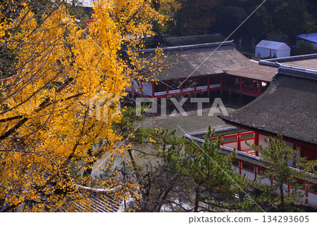 Aki的Miyajima /嚴島神社 Aki的Miyajima /嚴島神社 134293605