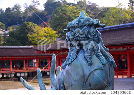 Aki的Miyajima /嚴島神社 134293608