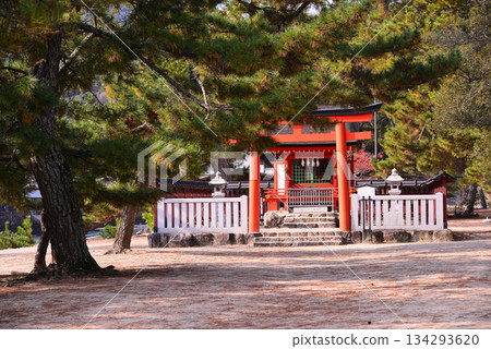 Aki的Miyajima /嚴島神社 134293620