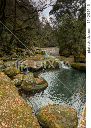 Quiet Kikuchi Valley in early winter Quiet Kikuchi Valley in early winter 134293646