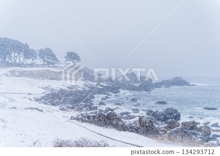 青森縣雪域中須賀海岸和種佐海岸 134293712