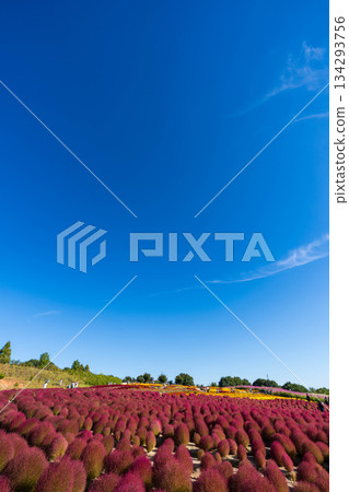 Hanayume no Sato (04) 134293756