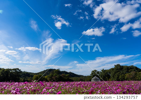 花夢之裡 (03) 134293757