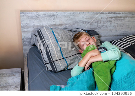 Young boy sleeping in his bed at home, hugging a soft toy, calm and cozy morning routine scene. 134293936