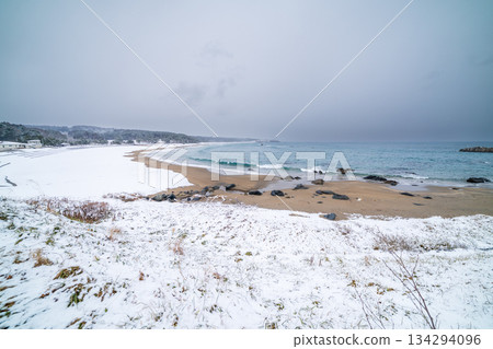 "Aomori Prefecture" Snowy Osuka Coast and Tanesashi Coast 134294096