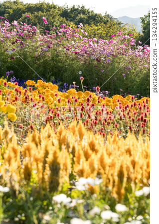 花之裡 (20) 花之裡 (20) 134294155