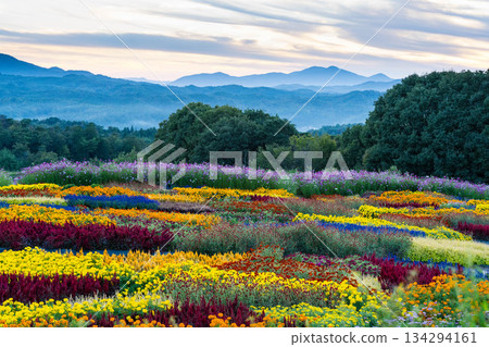 花夢之裡 (26) 134294161