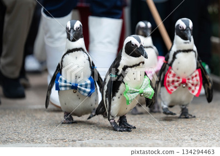 松江沃格爾公園（04） 134294463