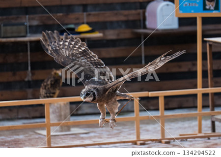 松江沃格爾公園（16） 134294522