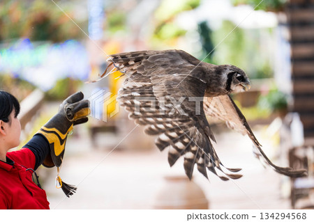 Matsue Vogel Park (24) 134294568