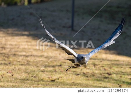 松江沃格爾公園（30） 134294574