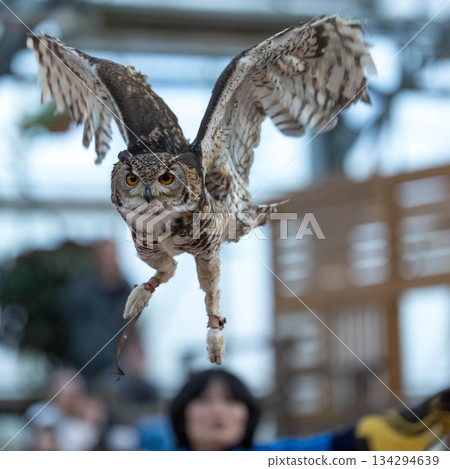 松江沃格爾公園（36） 134294639