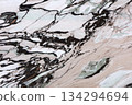 Extraordinary Fantastico Lirio - marble background, texture in beautiful classic colors for your new design. 134294694