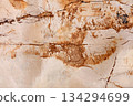Roma Imperiale - natural calcite background in stylish new beige color, texture as part of your personal design. 134294699