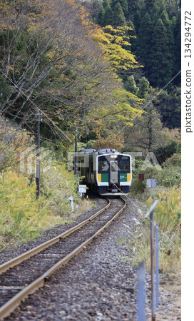 一列JR九琉璃線列車正在行駛中，拍攝於松岡和總站附近。 134294772