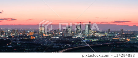 Aerial view of Saitama New City from the Minuma rice fields in Saitama Prefecture. 134294888