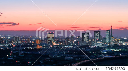 從埼玉縣美沼稻田俯瞰埼玉新城。 134294890