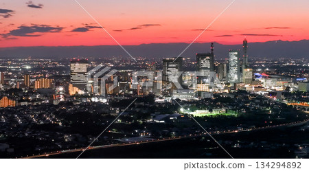 從埼玉縣美沼稻田俯瞰埼玉新城。 134294892