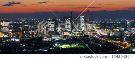 從埼玉縣美沼稻田俯瞰埼玉新城。 134294894