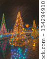 聖誕樹 134294910
