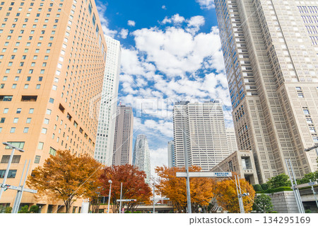 新宿區西新宿的「東京」秋景 新宿區西新宿的「東京」秋景 134295169