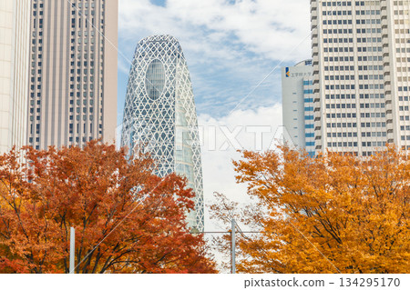 新宿區西新宿的「東京」秋景 新宿區西新宿的「東京」秋景 134295170