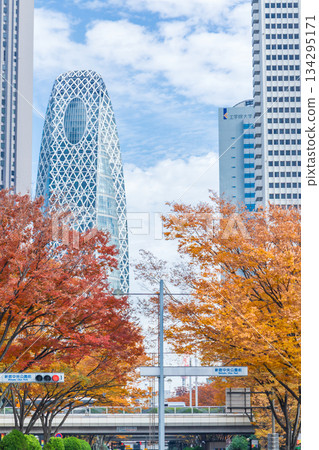 新宿區西新宿的「東京」秋景 新宿區西新宿的「東京」秋景 134295171
