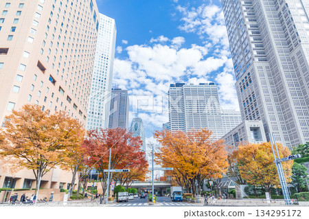 新宿區西新宿的「東京」秋景 134295172