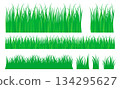 Grass Brush Texture Pattern Featuring Natural Green Blades And Organic Shapes. Ideal For Backgrounds, Nature Designs, Illustrations, Landscaping Concepts, Eco Projects, And Seamless Creative. Vector 134295627