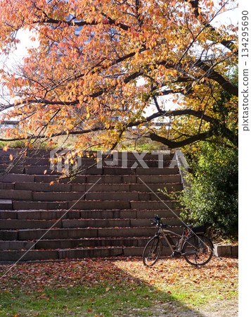 Autumn Cycling in Osaka Castle Park Autumn Cycling in Osaka Castle Park 134295690