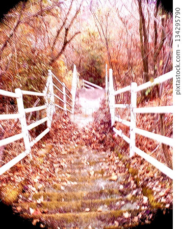 Forest stairs and quiet path covered with fallen leaves - Autumn natural landscape background material Forest stairs and quiet path covered with fallen leaves - Autumn natural landscape background material 134295790