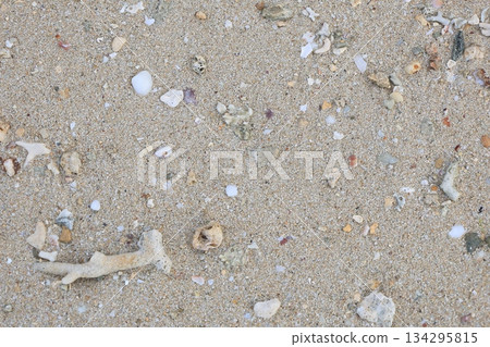 貝殼和珊瑚被沖上海灘 134295815