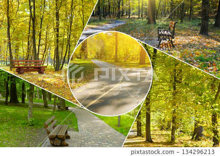Autumn and Summer Park Scenes Photo Collage with Bike Path Autumn and Summer Park Scenes Photo Collage with Bike Path 134296213