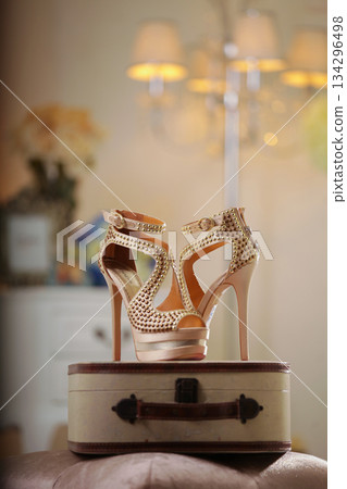 Elegant high heels woman shoes rest on an aesthetic background, good for creating a striking fashion still life perfect for beauty, footwear, or fashion retail campaigns 134296498