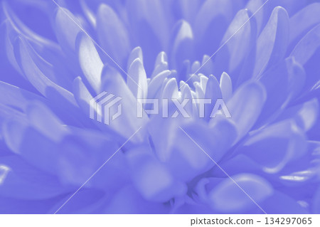 Harmonious pastel abstract: a soothing background of blended light floral colors and soft edges Harmonious pastel abstract: a soothing background of blended light floral colors and soft edges 134297065