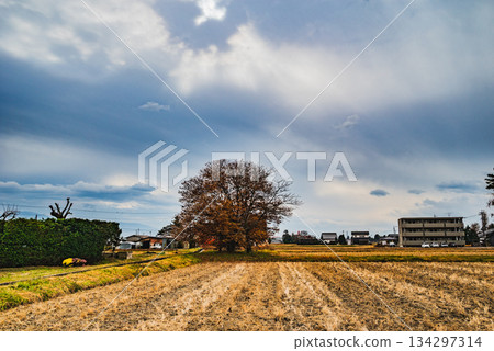 Azumino bathed in sunlight [Azumino City] 134297314