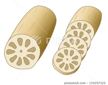 Lotus root Lotus root 134297320