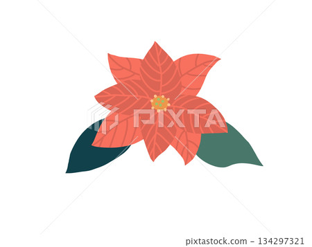 Simple red poinsettia 134297321
