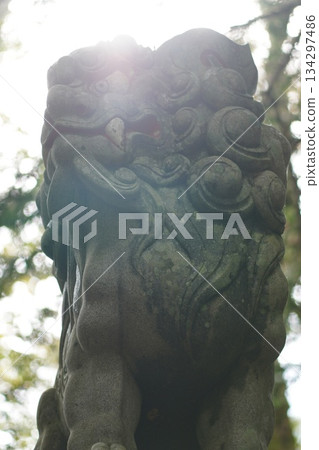 Scenery with guardian dogs 134297486