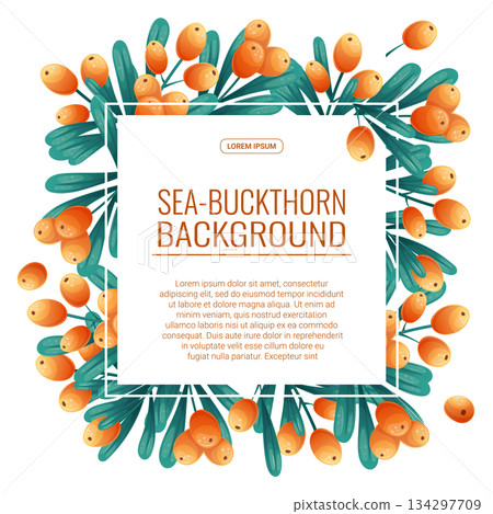 Colorful background with sea buckthorn twigs and berries. The concept of autumn, tea drinking. Vector illustration for the design of posters, flyers, postcards and invitations 134297709