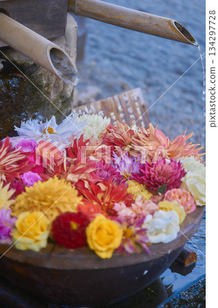 浮在水面上的花 134297728