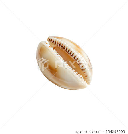 Coffee Bean in Close View Showing Natural Texture and Details of Its Surface. 134298603