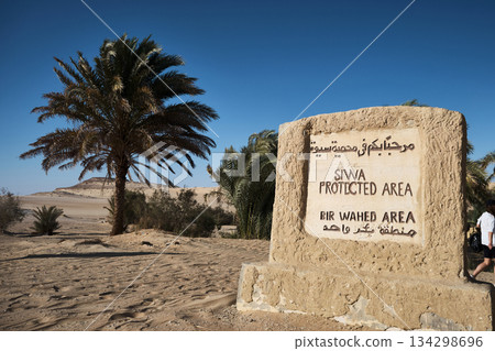 Bir Wahed protected area near Siwa Oasis 134298696