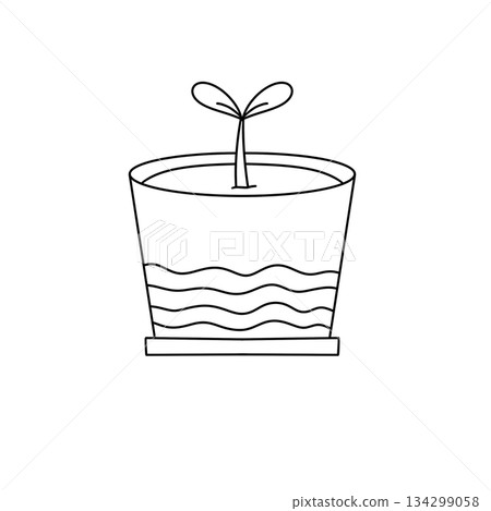 A plant is growing in a pot with water A plant is growing in a pot with water 134299058