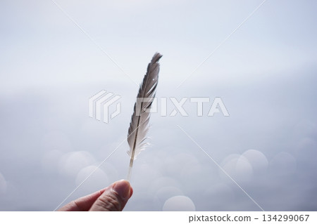 雙手托著翅膀，溫柔的背影 | 翅膀，天空與海洋 134299067